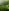 Small placeholder thumbnail