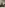 Small placeholder thumbnail