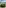 Small placeholder thumbnail